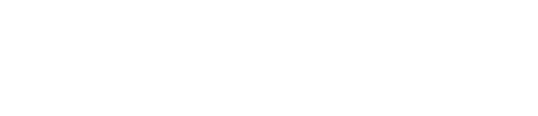FC Limousine Service